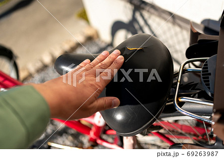 various various 69263987