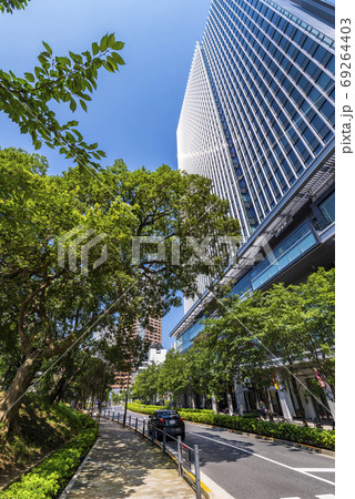飯田橋 外濠公園沿いの並木道 飯田橋 外濠公園沿いの並木道 69264403