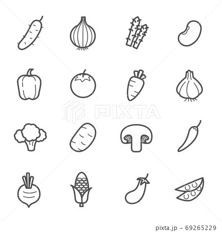 Simple Set of Vegetable icon outline stroke vector illustration on white background Simple Set of Vegetable icon outline stroke vector illustration on white background 69265229