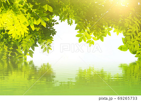 Abstract natural backgrounds for your design Abstract natural backgrounds for your design 69265733