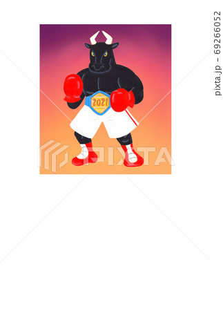 丑年年賀状・ボクシングをする黒い牛 丑年年賀状・ボクシングをする黒い牛 69266052