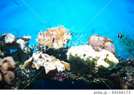 the seabed the seabed 69266173