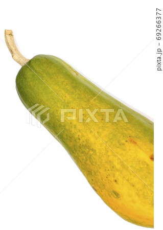 papaya isolated on white background papaya isolated on white background 69266377