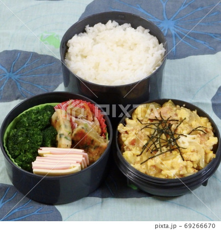 手作り親子丼弁当 69266670