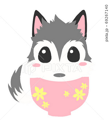 お椀の中に入ったハスキー犬のイラスト素材