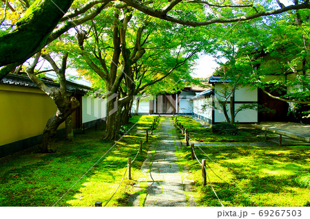 【京都】秋の特別公開時の大徳寺黄梅院 色づき始めた前庭と唐門 【京都】秋の特別公開時の大徳寺黄梅院 色づき始めた前庭と唐門 69267503