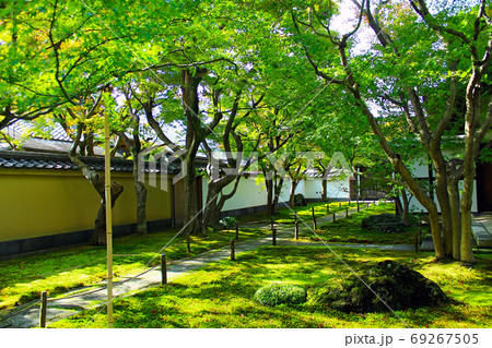 【京都】秋の特別公開時の大徳寺黄梅院　色づき始めた前庭 69267505