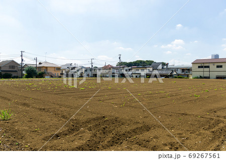 東京都調布市佐須町の広大な畑と住宅街 69267561