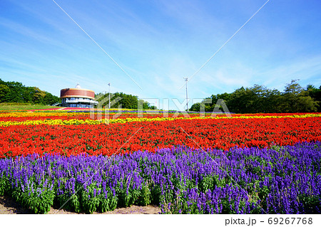 フラワーガーデン「はな・てんと」網走市 69267768