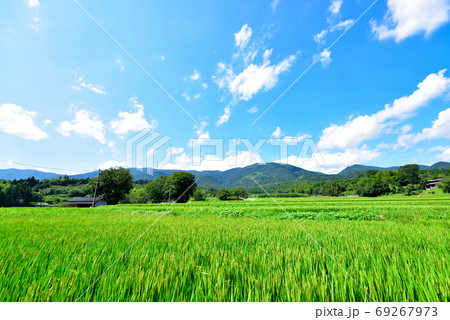 奈義町の田園風景と那岐山 奈義町の田園風景と那岐山 69267973