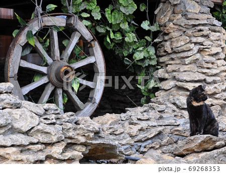 Black cat sitting on the rocks. A decorative antique wooden wheel. Black cat sitting on the rocks. A decorative antique wooden wheel. 69268353