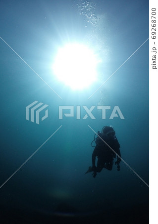 深海のダイバー 69268700