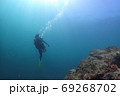 日本の海でダイビング  69268702