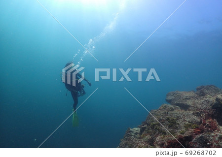 日本の海でダイビング  69268702