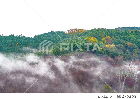朝もやに包まれる晩秋の吉野の山並 朝もやに包まれる晩秋の吉野の山並 69270208