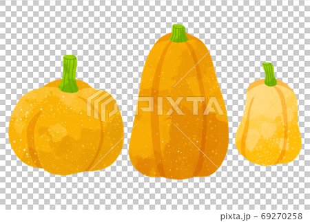 優しいタッチのかぼちゃのイラストセットのイラスト素材