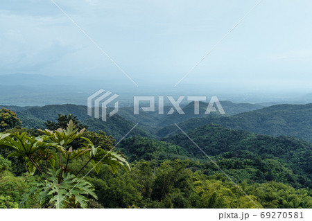 Mountains and green trees during the day 69270581