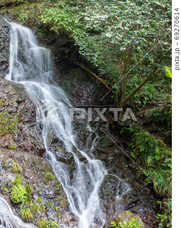 奥多摩 白岩の滝と清流の景色 美しい白岩の滝 奥多摩 白岩の滝と清流の景色 美しい白岩の滝 69270614