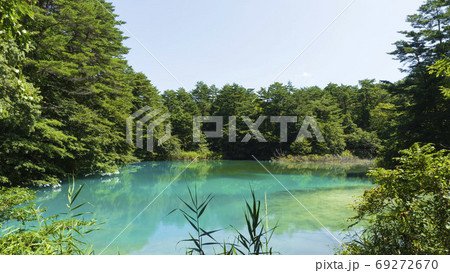 【裏磐梯／五色沼】エメラルドグリーンの青沼／磐梯朝日国立公園（福島県北塩原村） 69272670