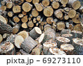 pile of cut and stacked logs 69273110