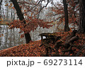 river and forest in autumn 69273114