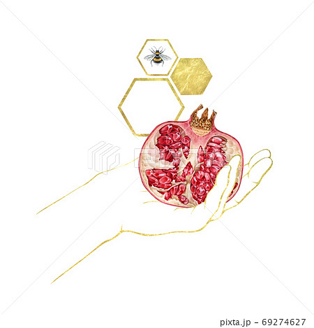 Outline hand holding pomegranate ripe fruit. Outline hand holding pomegranate ripe fruit. 69274627