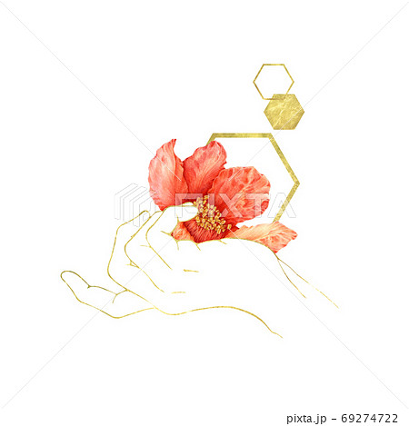 Outline hand holding pomegranate red flower. Outline hand holding pomegranate red flower. 69274722