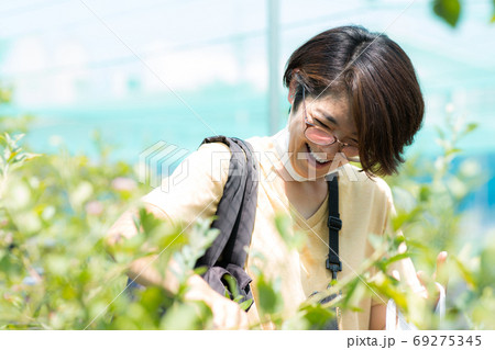 ブルーベリーを摘む女性の写真素材 ブルーベリーを摘む女性の写真素材