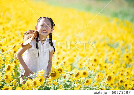 ヒマワリ畑で遊ぶ女の子 69275597