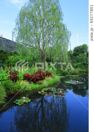 西武池袋屋上庭園「食と緑の空中庭園」睡蓮の庭 69277801