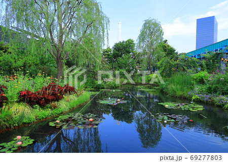 西武池袋屋上庭園 食と緑の空中庭園 睡蓮の庭の写真素材