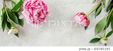 Beautiful pink peony flowers on gray stone table with copy space for your text. Flat style, top view Beautiful pink peony flowers on gray stone table with copy space for your text. Flat style, top view 69280185