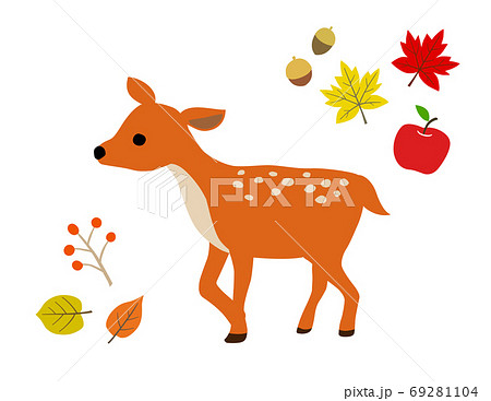 子鹿と秋の紅葉 イラストセットのイラスト素材