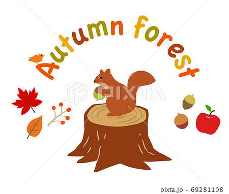 リスと秋の森や紅葉 イラストセットのイラスト素材