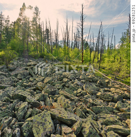 The taiga and alpine tundra - stone deposits, fragments of rock, boulders 69281251
