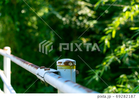 公道　通　白線　国道 69282187