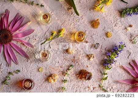 Bottles of essential oil with frankincense, echinacea, European goldenrod Bottles of essential oil with frankincense, echinacea, European goldenrod 69282225