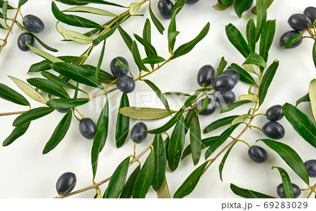 Black  and healthy olives on white 69283029