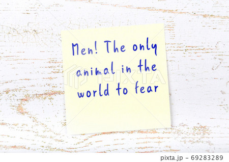 Yellow sticky note on wooden wall with wise quote 69283289