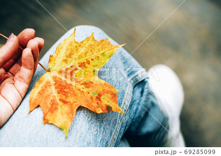 Maple leave on jeans. Autumn mood. 69285099