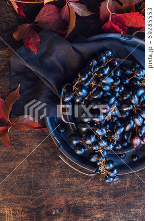 Black grapes in vintage tray Black grapes in vintage tray 69285553