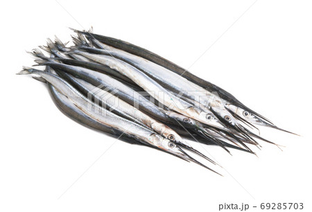 fresh fish garfish isolated 69285703