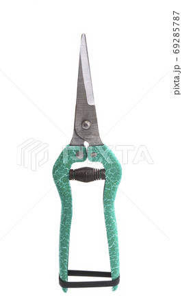 flower pruner isolated flower pruner isolated 69285787