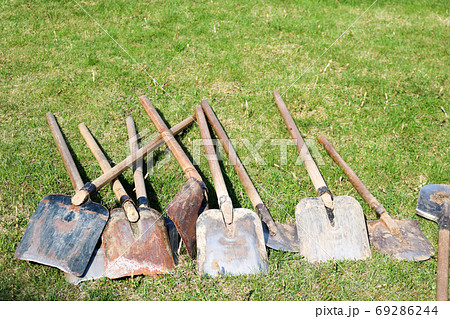 A lot of shovels and bayonet shovels, household 69286244