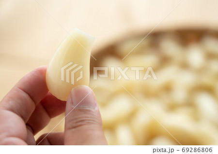 らっきょう らくだ (6月) 手に持つ男性 らっきょう らくだ (6月) 手に持つ男性 69286806