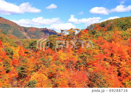 紅葉の鳴子郷 紅葉の鳴子郷 69288716