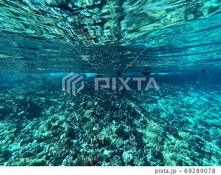 モロキニ島シュノーケリング モロキニ島シュノーケリング 69289078