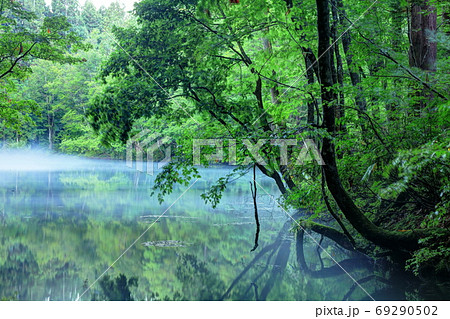 霧の龍ヶ窪 69290502