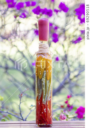 Jars with pickled Peruvian chili peppers Jars with pickled Peruvian chili peppers 69290518