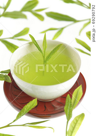 茶芽と湯飲み 69290792